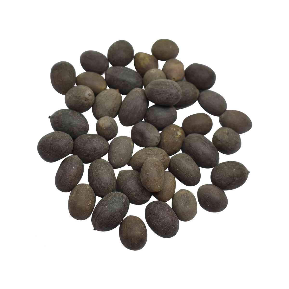Kamal Gatta Seeds | Lotus Seeds 108 pcs | For Raw Lotus Seeds (for Pooja, Laxmi Havan, Home Gardening)